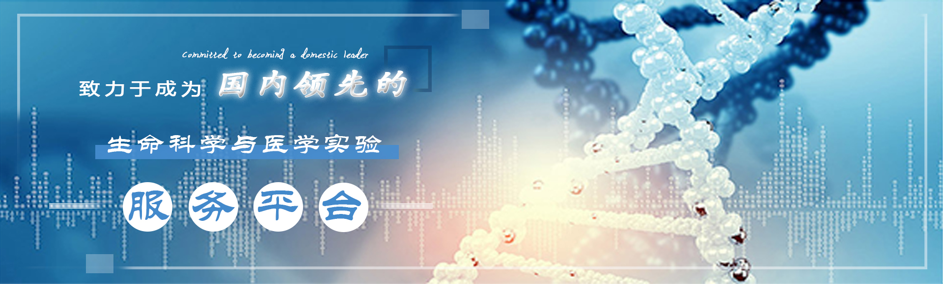 SCI論文