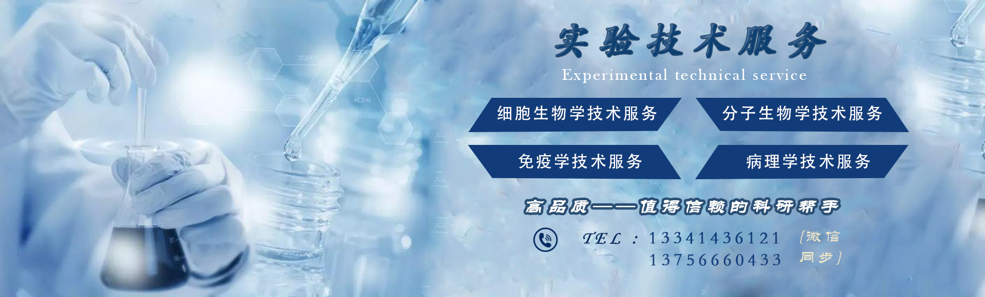 SCI論文