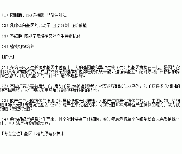 應(yīng)用生物工程技術(shù)獲取新產(chǎn)品的研究